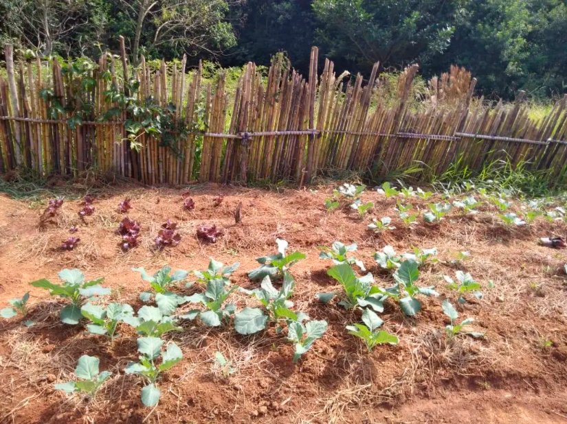 Horta Guarani Jaraguá